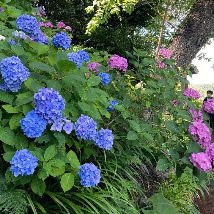 昨日☆