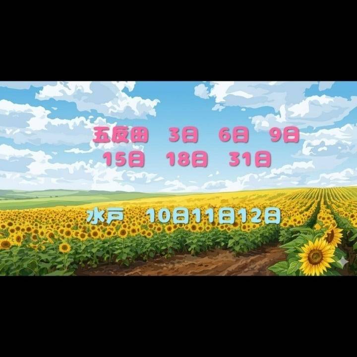 来月の予定です♥️