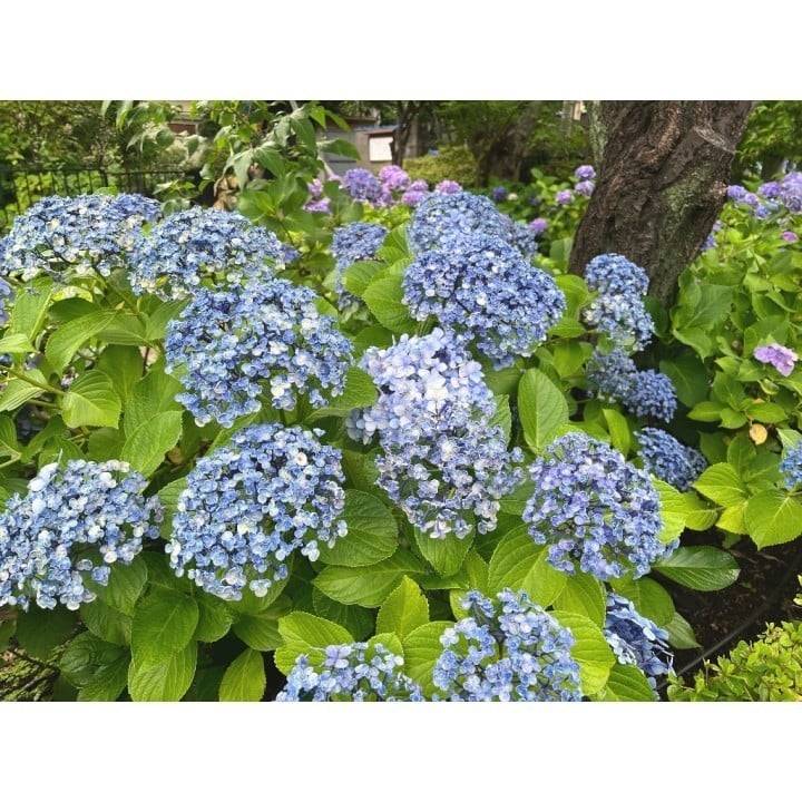 明日います🍒︎✩