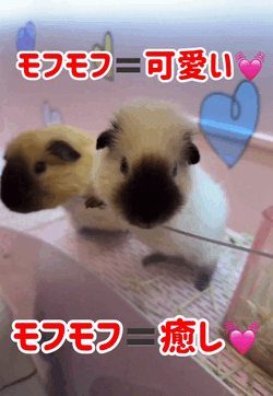 かわいっ♡