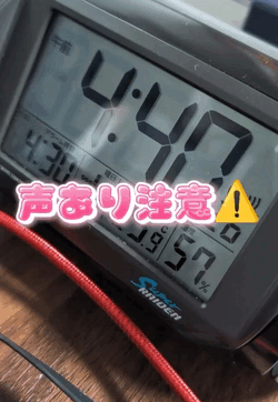 【声あり動画】みちゃだめ🙈