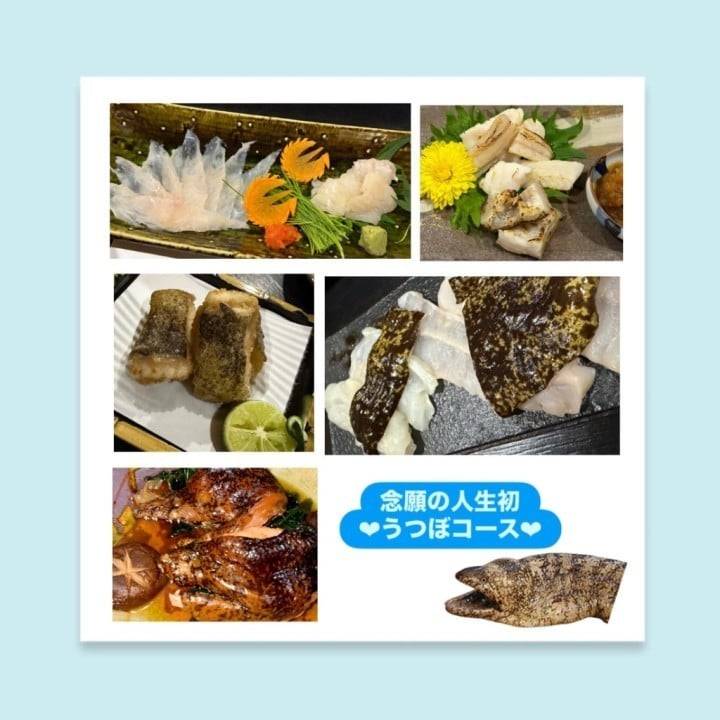 ウツボコース😍