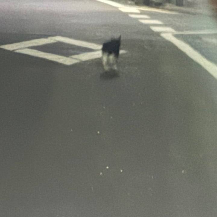 本日出勤です🍀*゜