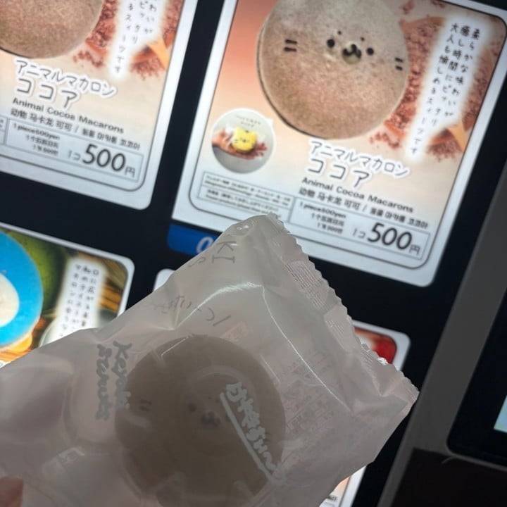 本日出勤です🍊