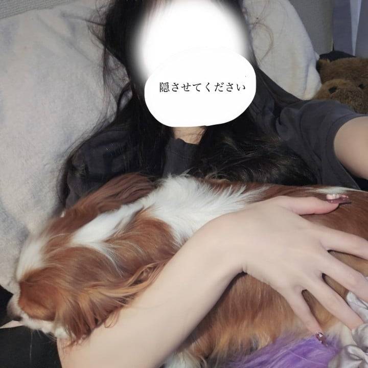 強く生きような(?)