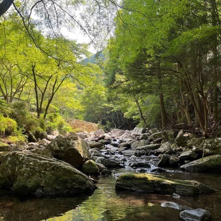 避暑旅中🦋