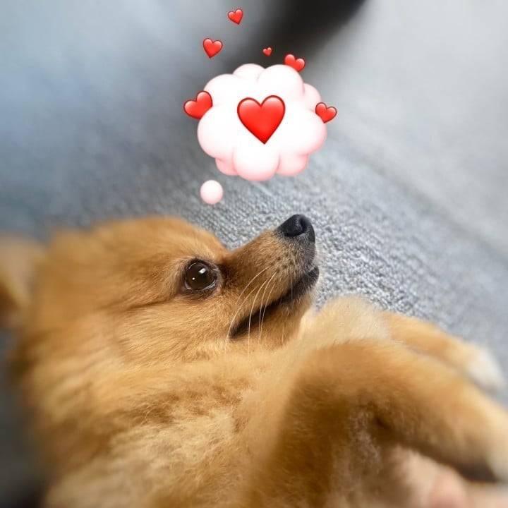 15日出勤だよ🧸