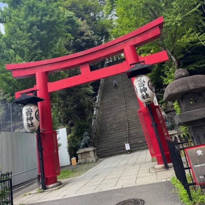 ご報告-`📢⋆