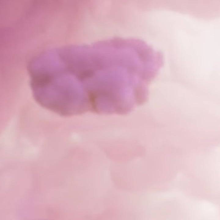 しゅ！！！