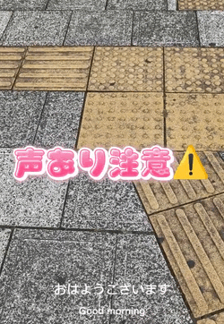 【声あり動画】そうかをさがせ！