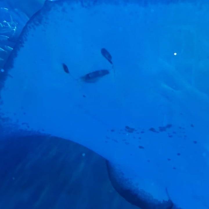 おはよ！！！！！