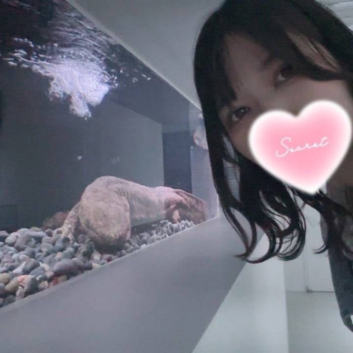 おはよ！