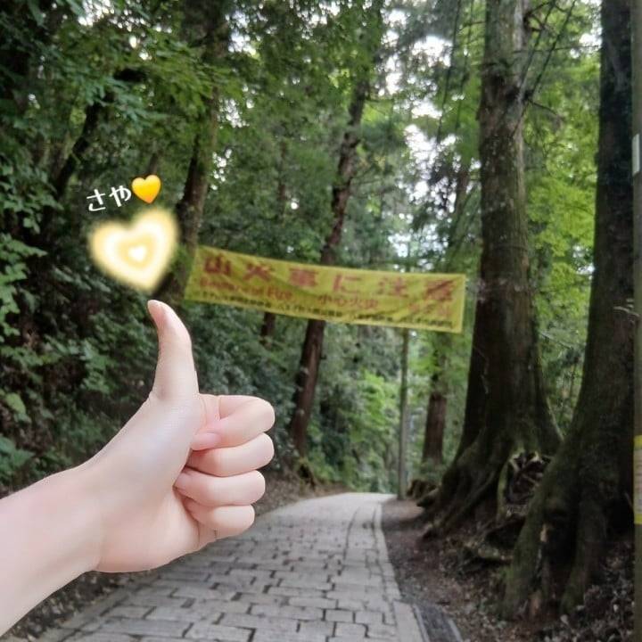 ⛰️お散歩してきました♪⛰️