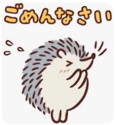今日はお休みをいただきました💨