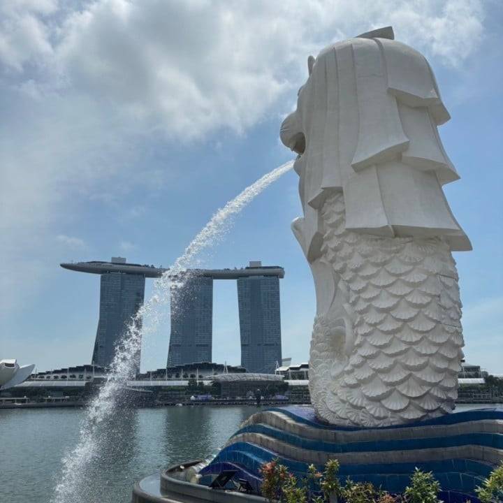 🇸🇬