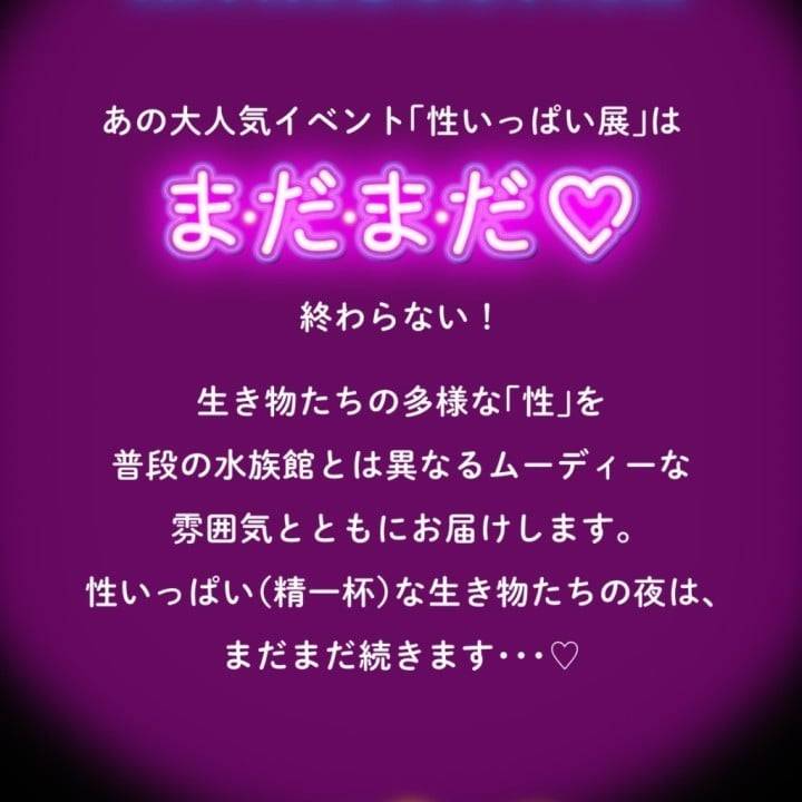 お久しぶりに!!