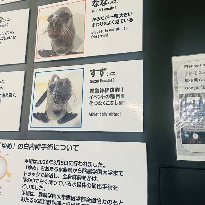おはよ！