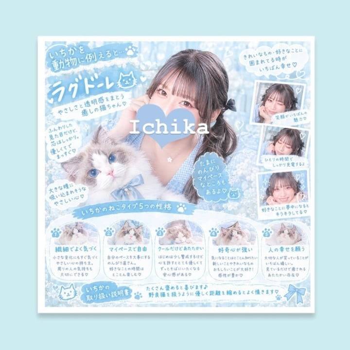 どうぶつ例えると？