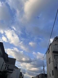 出勤します！