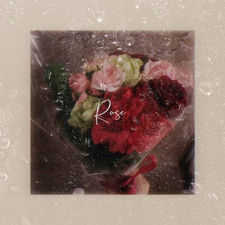 感激❤️