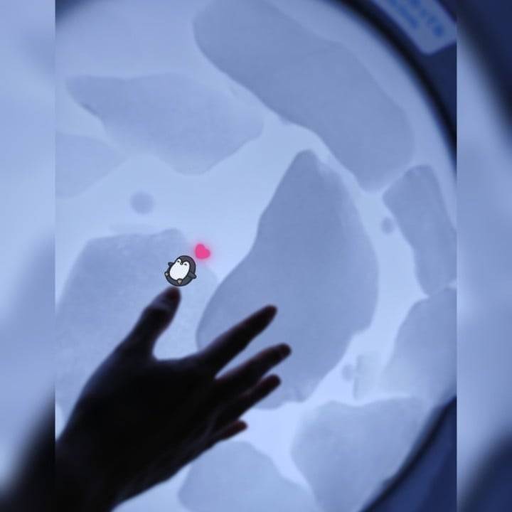 🐧こんばんは！🐧