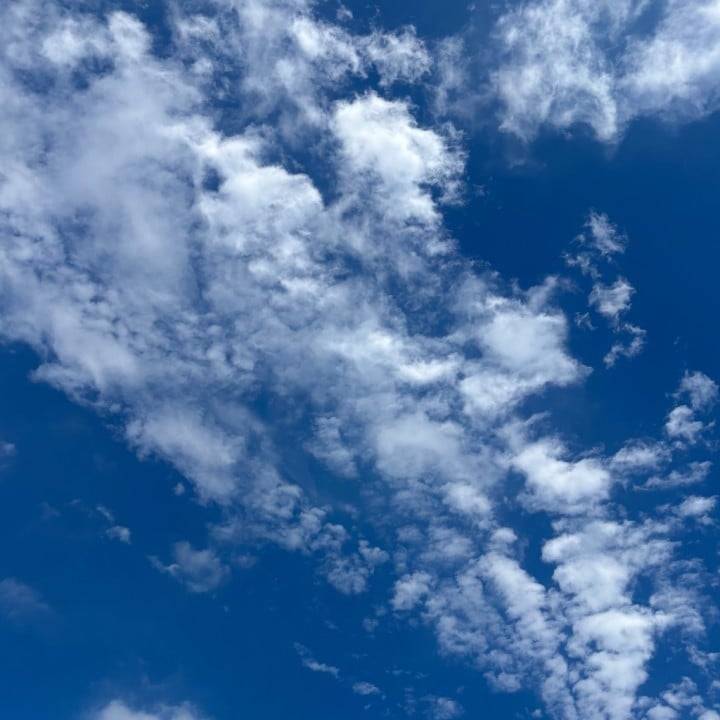 明日いるよ🍂