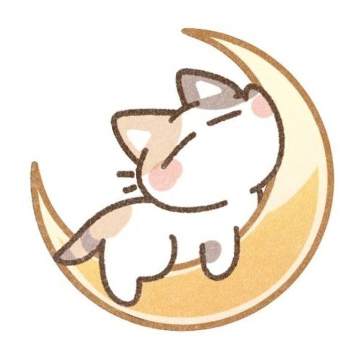 ７日までお休みです😵‍💫
