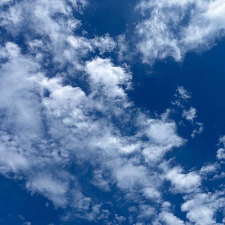 今日いるよ