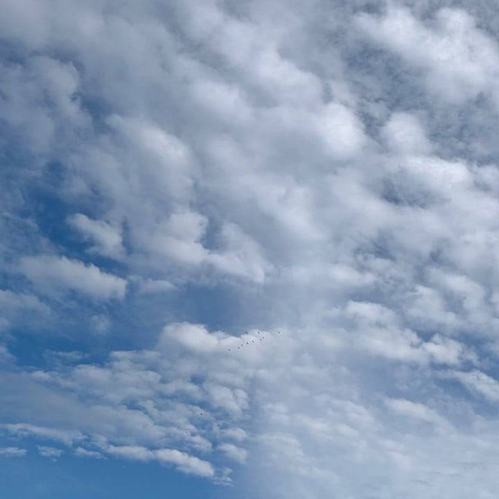 おやすみ…😢