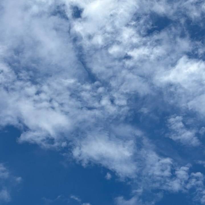 明日いるよっ