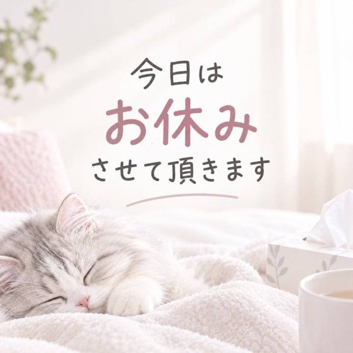 すみません🙇‍♀️