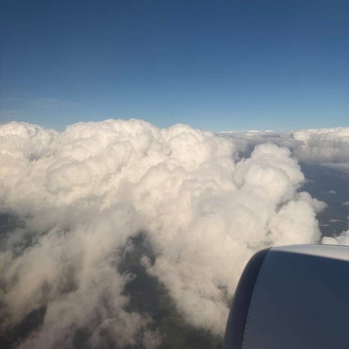 空の上の食いしん坊🤭☁️