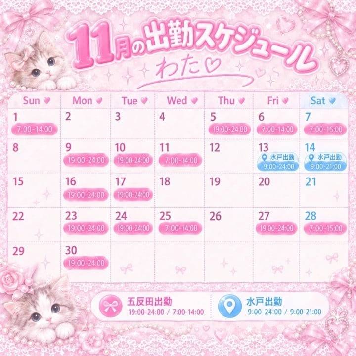 わた🐈‍⬛11月のスケジュール公開🩷