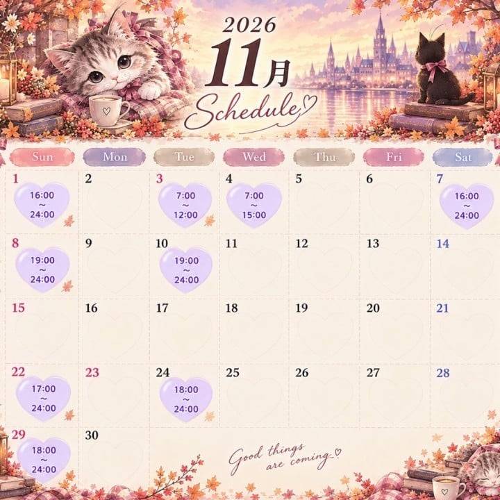 11月予定🎀