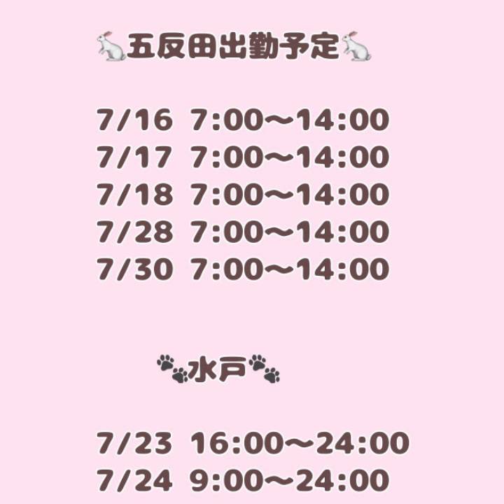7月後半予定
