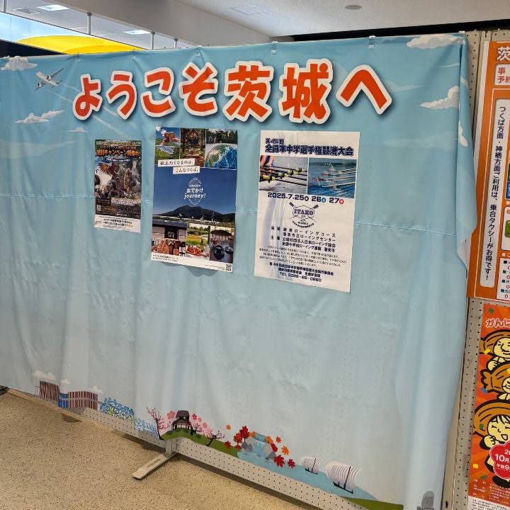明日からです！