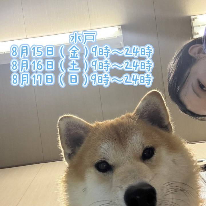 出勤！