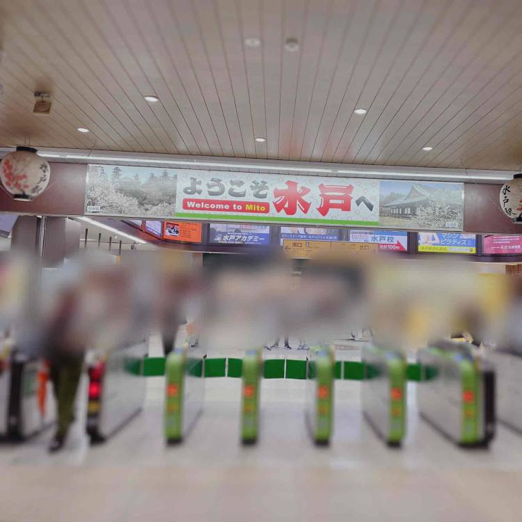 よろしくお願いします✨️