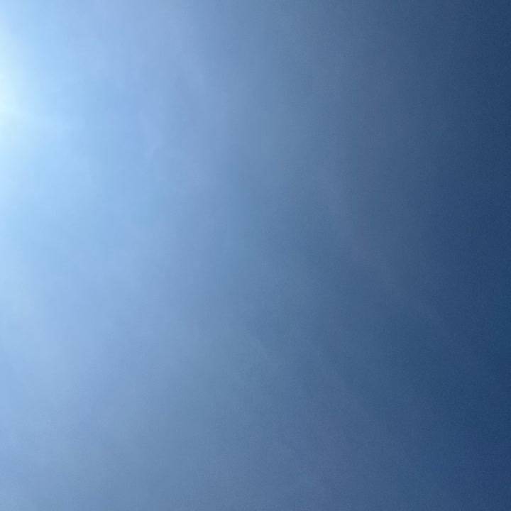 やっほお