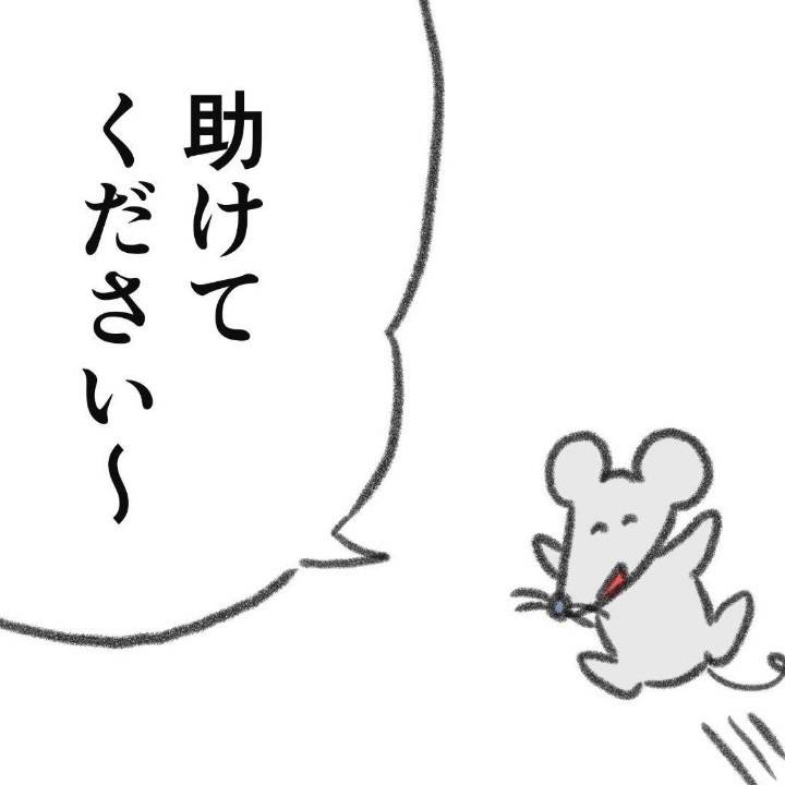 💌お礼日記💌