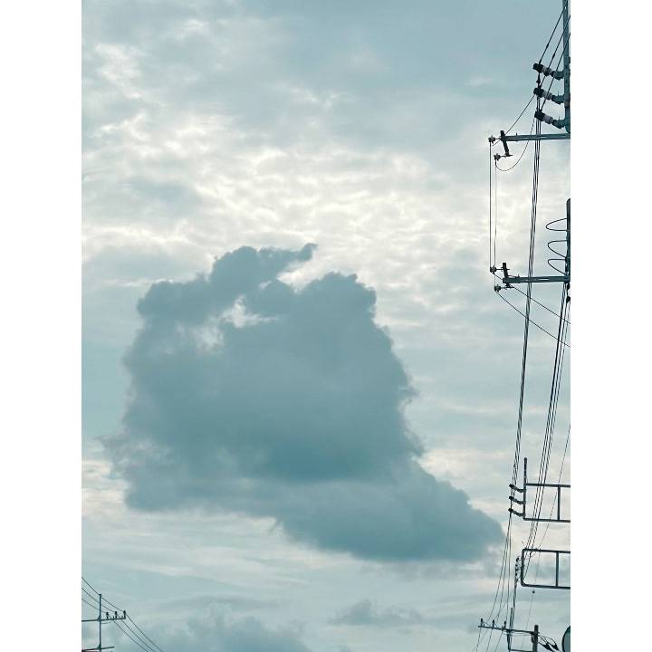 ごめんなさい〜っ