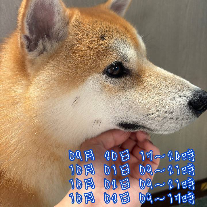 珍しく