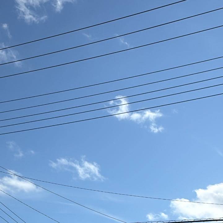 きれいでしょ〜