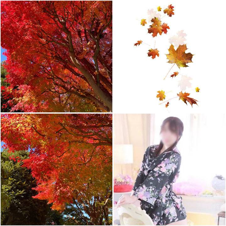 秋だね🍁