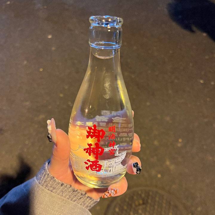 明治神宮激混みの巻