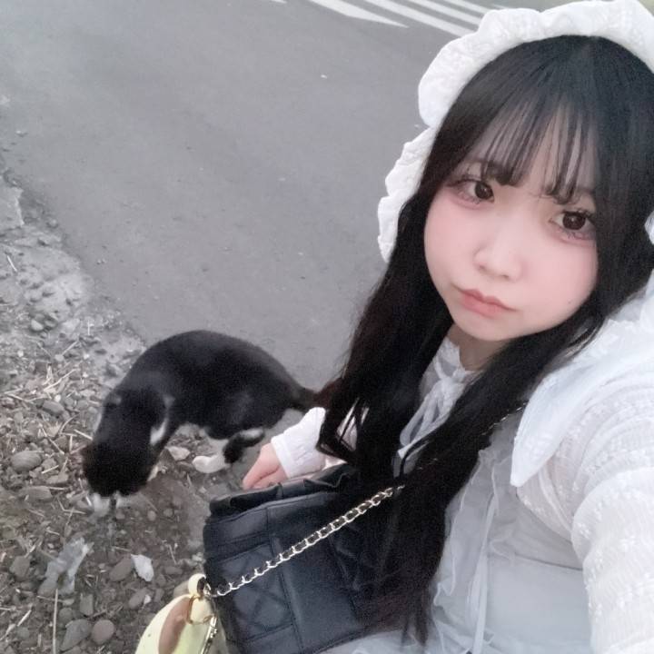 猫ちゃん^ ̳>𖥦< ̳^