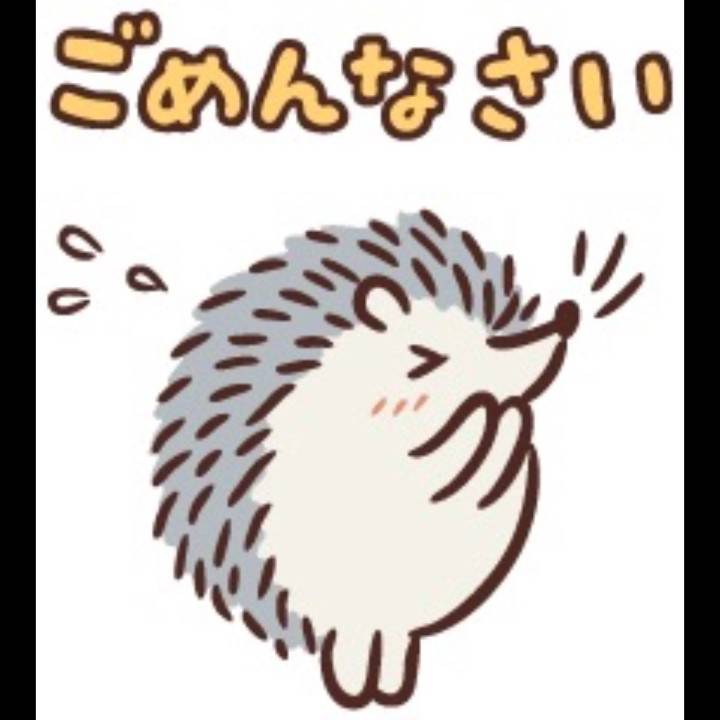 ごめんなさい💦