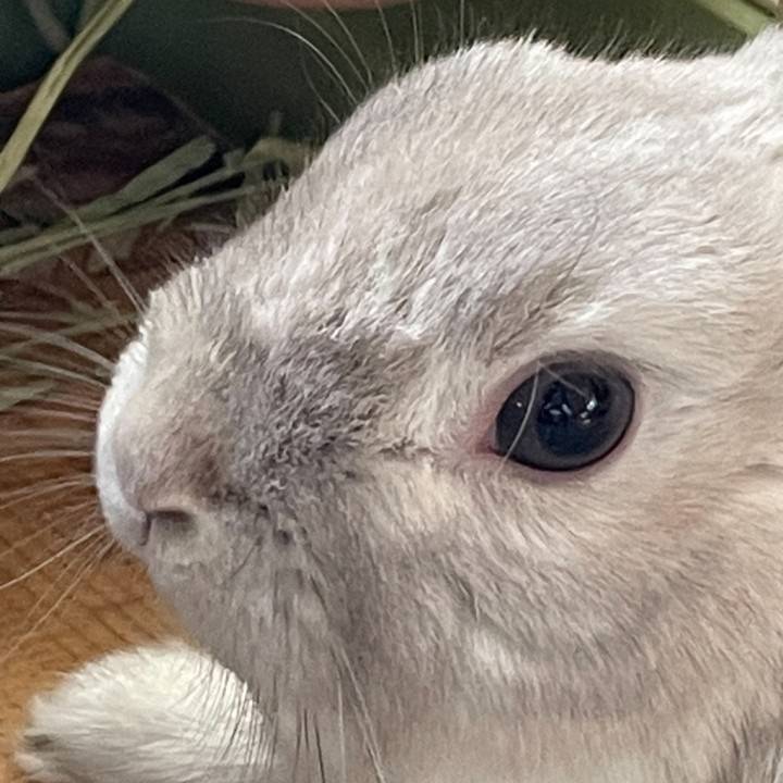 キラキラ月曜日