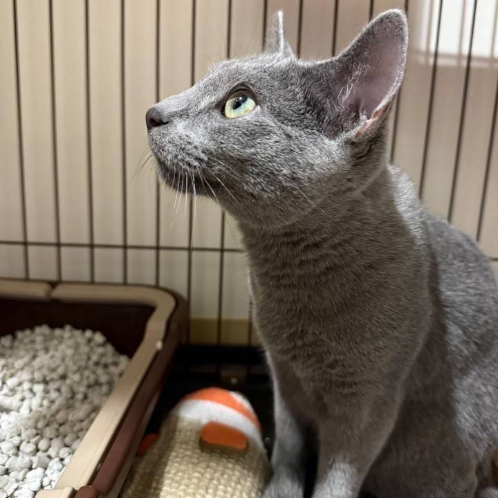 おはよ〜??