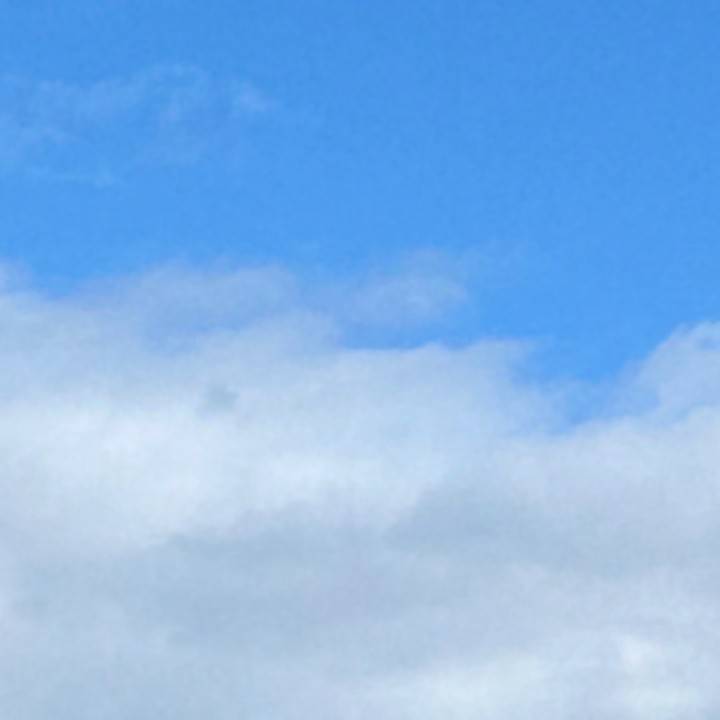 空いてます！🎀